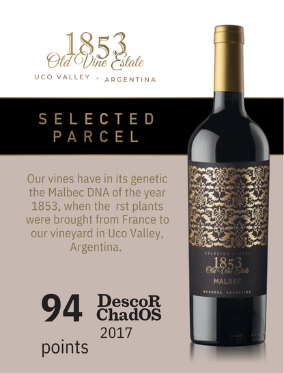 Marcelo Pelleriti 1853 Selected Parcel 2017